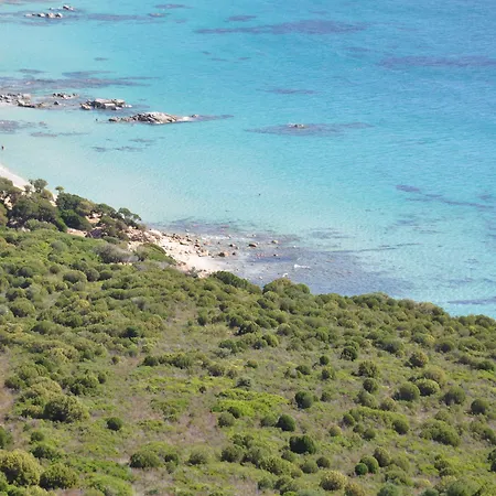 Village וילסימיוס